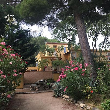 Gites De La Massane Argeles-sur-Mer Bagian luar foto