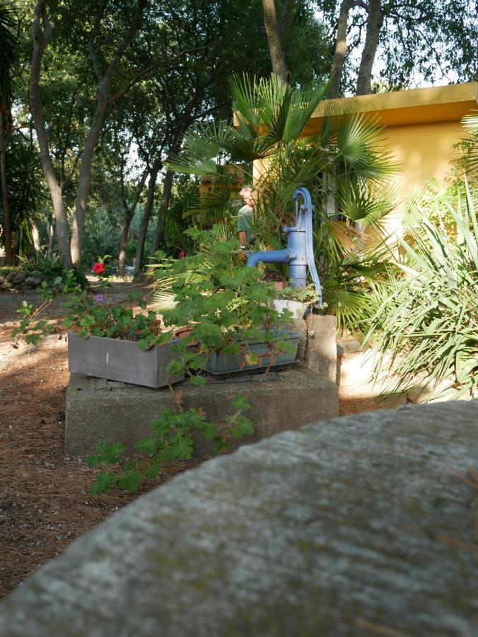Gites De La Massane Argeles-sur-Mer Bagian luar foto