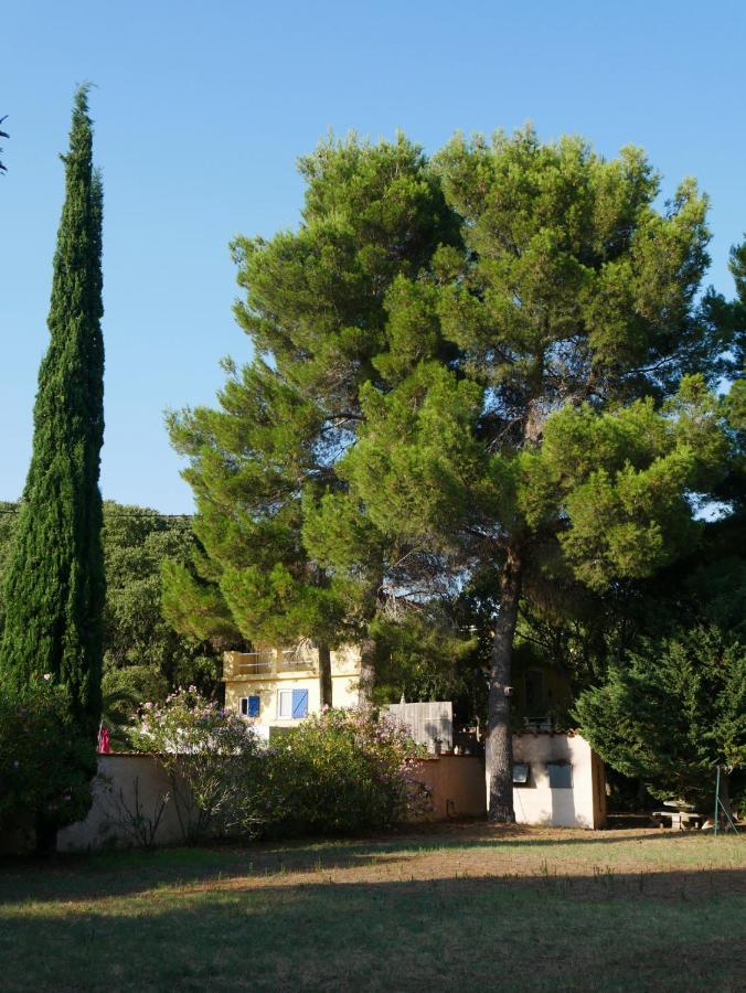 Gites De La Massane Argeles-sur-Mer Bagian luar foto