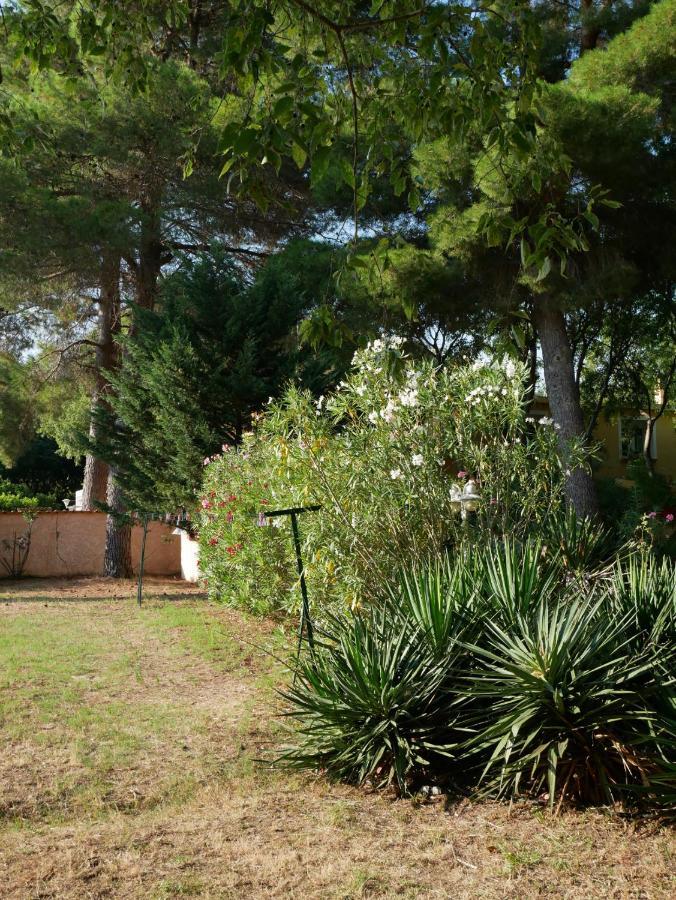 Gites De La Massane Argeles-sur-Mer Bagian luar foto