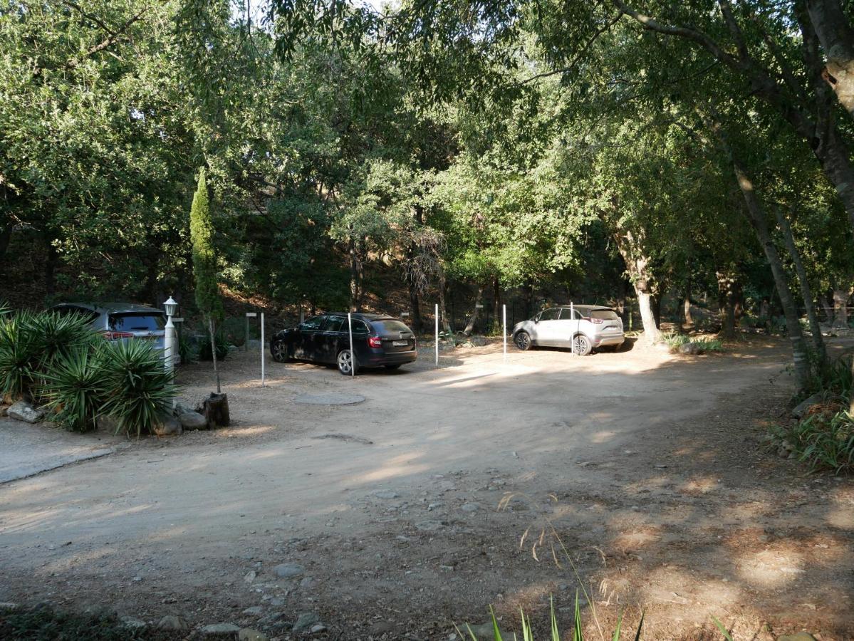 Gites De La Massane Argeles-sur-Mer Bagian luar foto