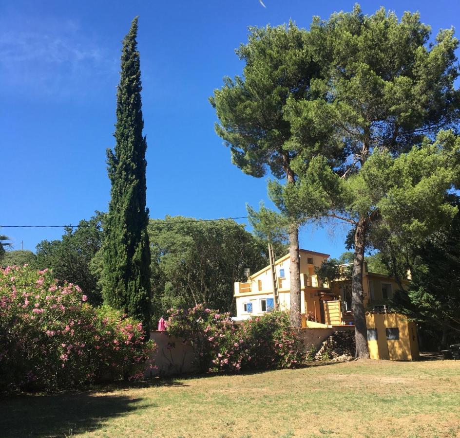 Gites De La Massane Argeles-sur-Mer Bagian luar foto
