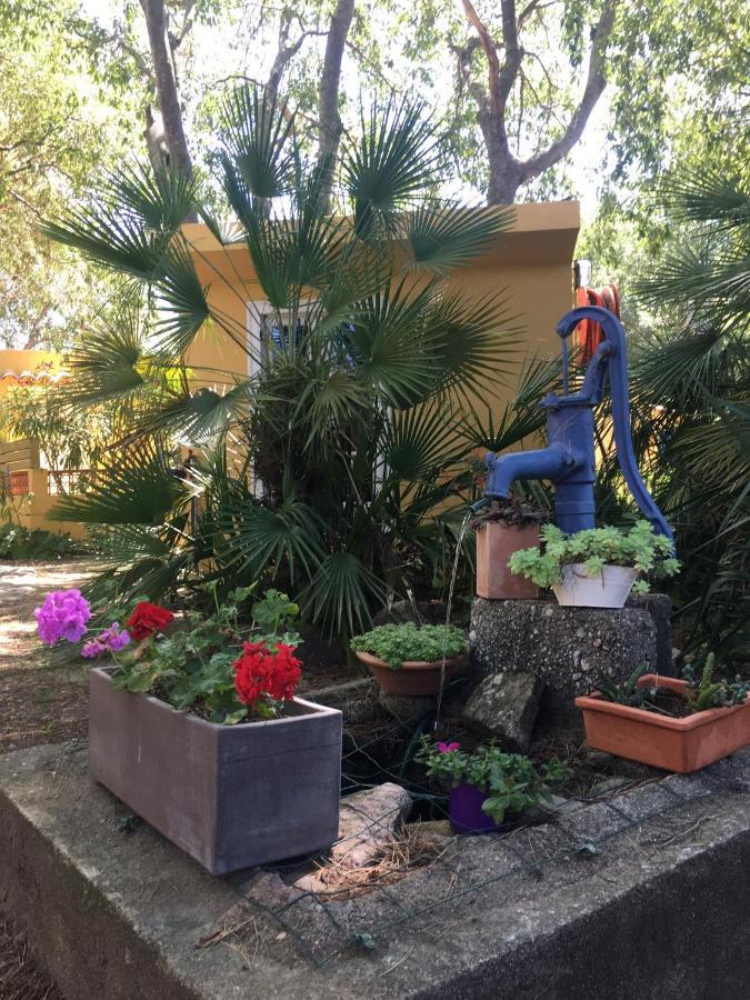 Gites De La Massane Argeles-sur-Mer Bagian luar foto