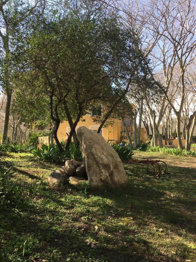 Gites De La Massane Argeles-sur-Mer Bagian luar foto