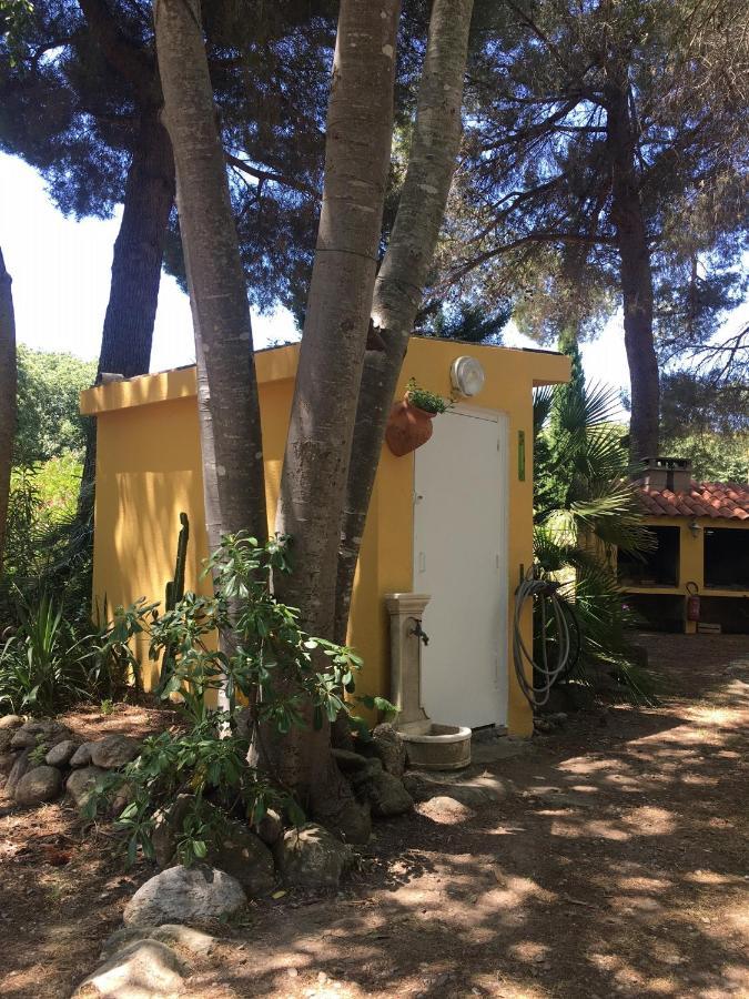 Gites De La Massane Argeles-sur-Mer Bagian luar foto