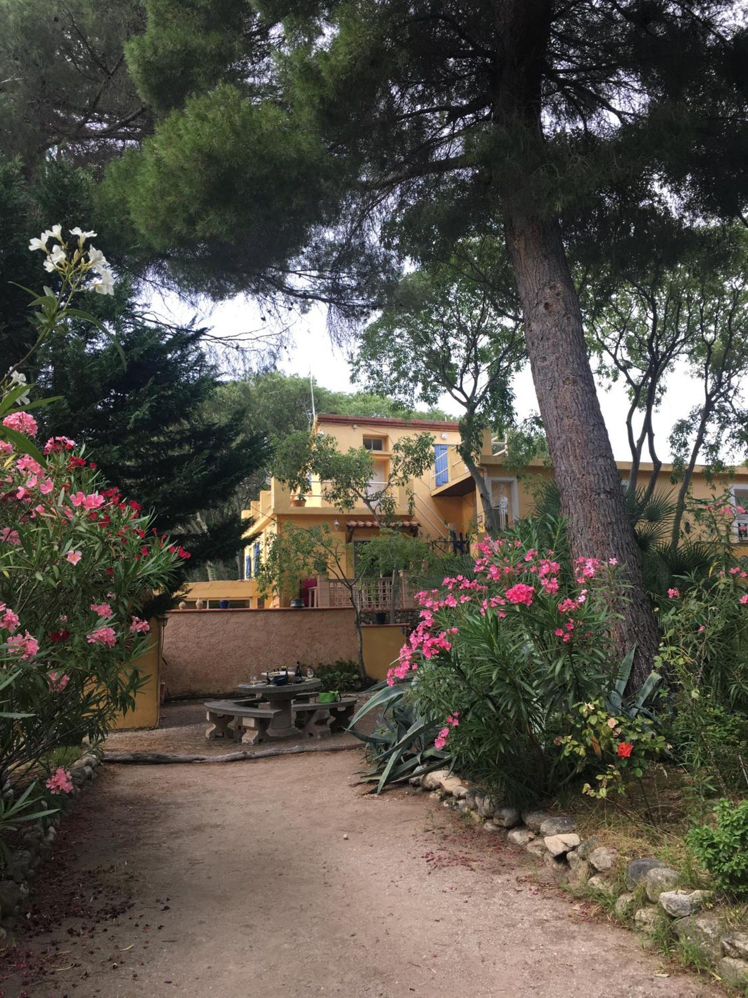 Gites De La Massane Argeles-sur-Mer Bagian luar foto